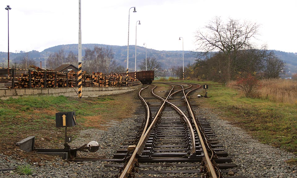 Pohled na severní zhlaví stanice Šebetov při příjezdu od Cetkovic. Prázdné vozy čekají v sobotu na nakládku dřeva a manipulační vlak, který je v pondělí odveze do Skalice.