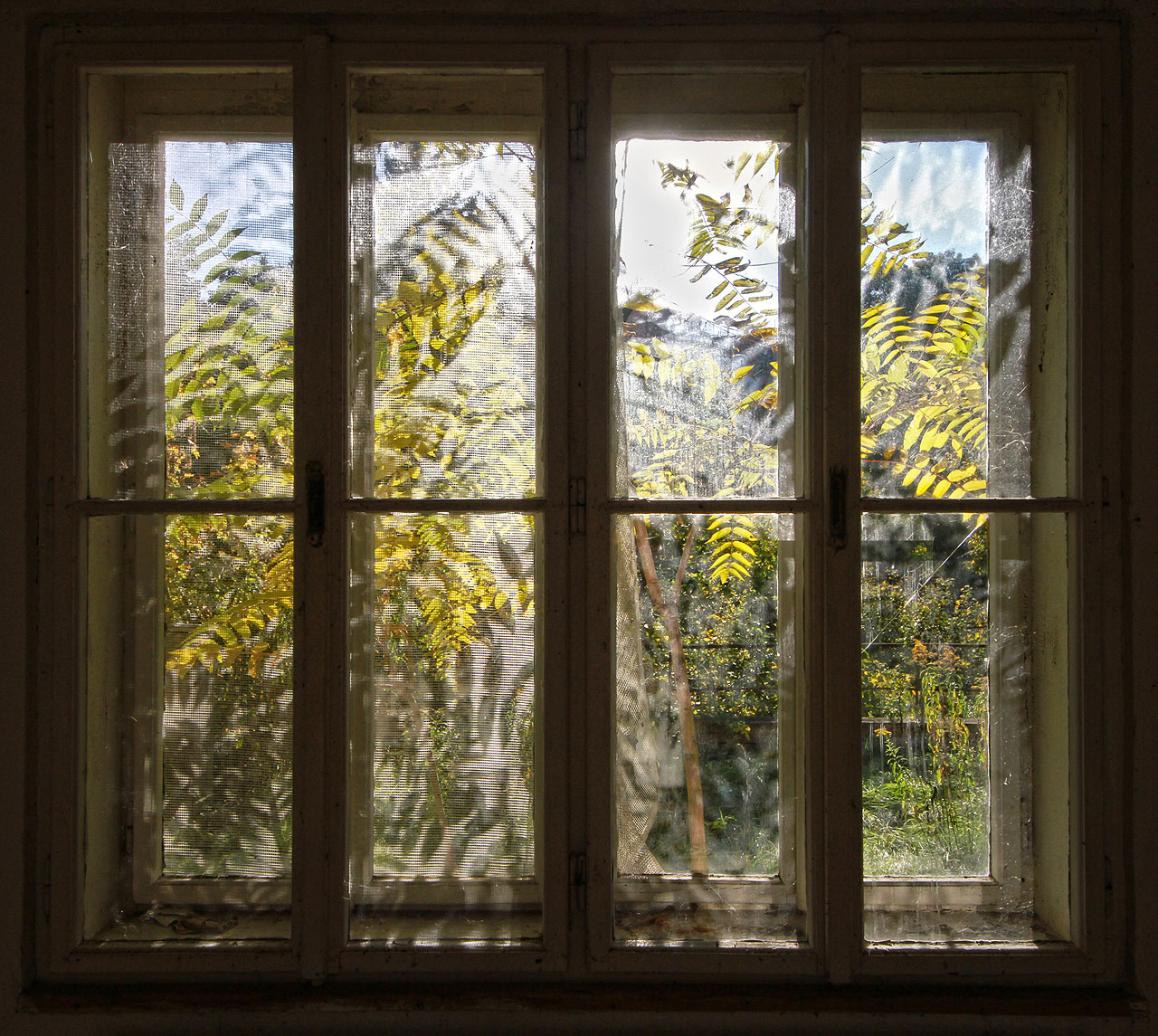 Skleníky pod kampusem