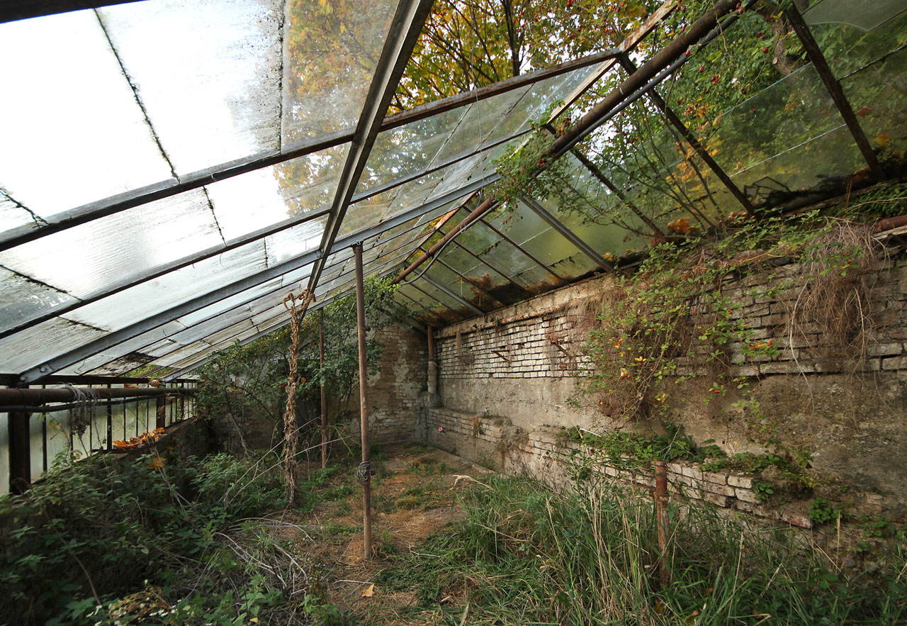 Pohledy do minulosti a do budoucnosti jsou na dvou protilehlých svazích bezejmenného údolí podivuhodně blízko.