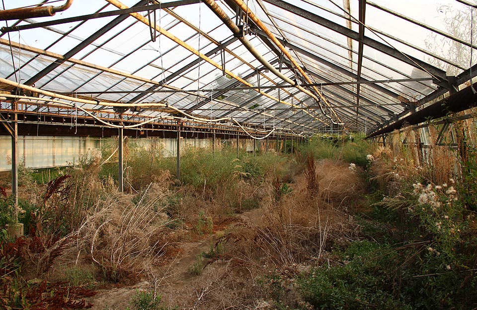 Skleníky pod ulicí Lány