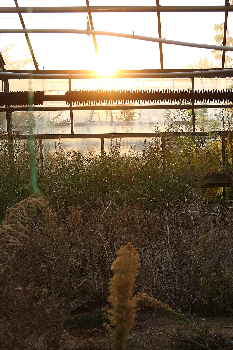 Západ slunce nad skleníky pod ulicí Lány v Brně.