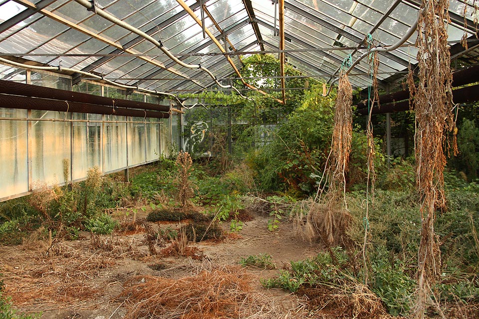 Snad by se tu dařilo guerillově vysazeným sukulentům. Alberto Vojtěch Frič by byl bezesporu nadšen.