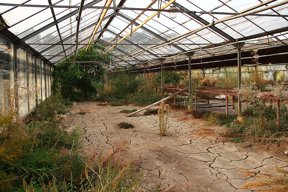 Kdo si dovede odmyslet skleněnou střechu a stěny okolo sebe, může se v duchu přenést třeba do bolivijských pamp.