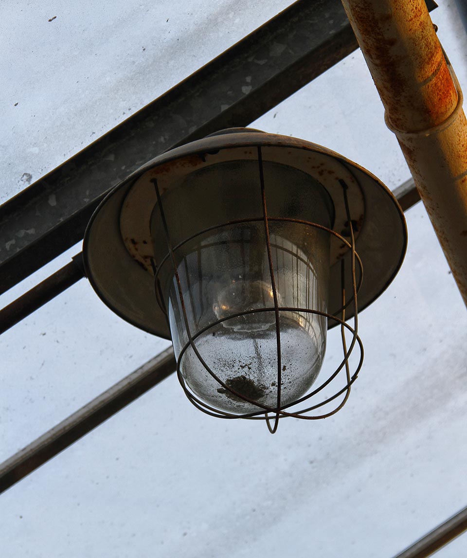 Lampy se pomalu plní vodou, které se vyschlé půdě nedostává.