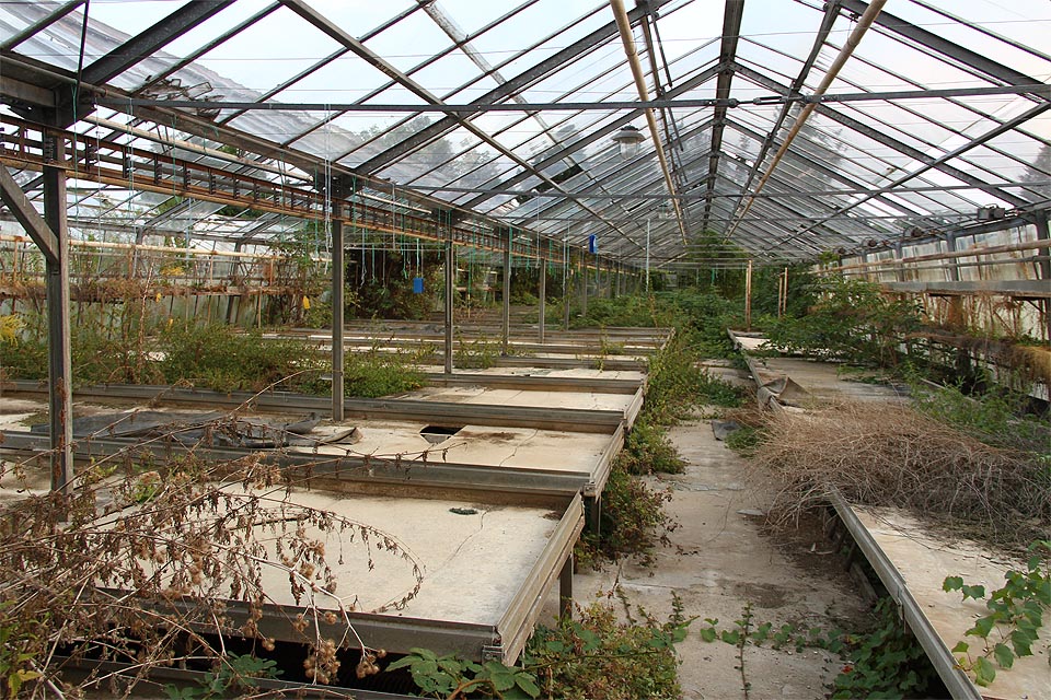 Jaká bude budoucnost skleníků? Při věštění ze skleněné koule reflektoru se nám zdá, že neradostná.