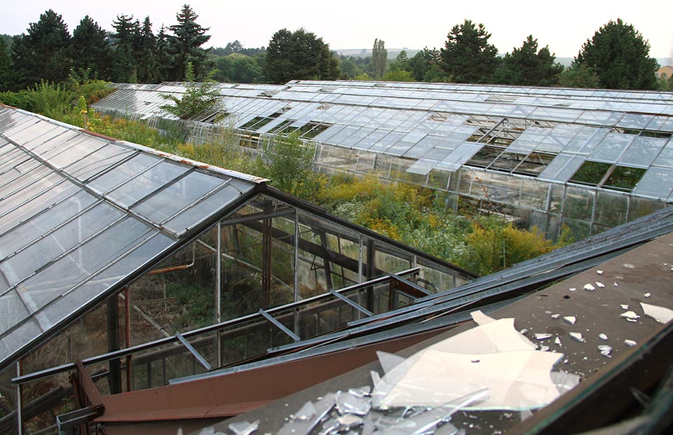 Pohled na tichý skleněný svět z budovy školy.