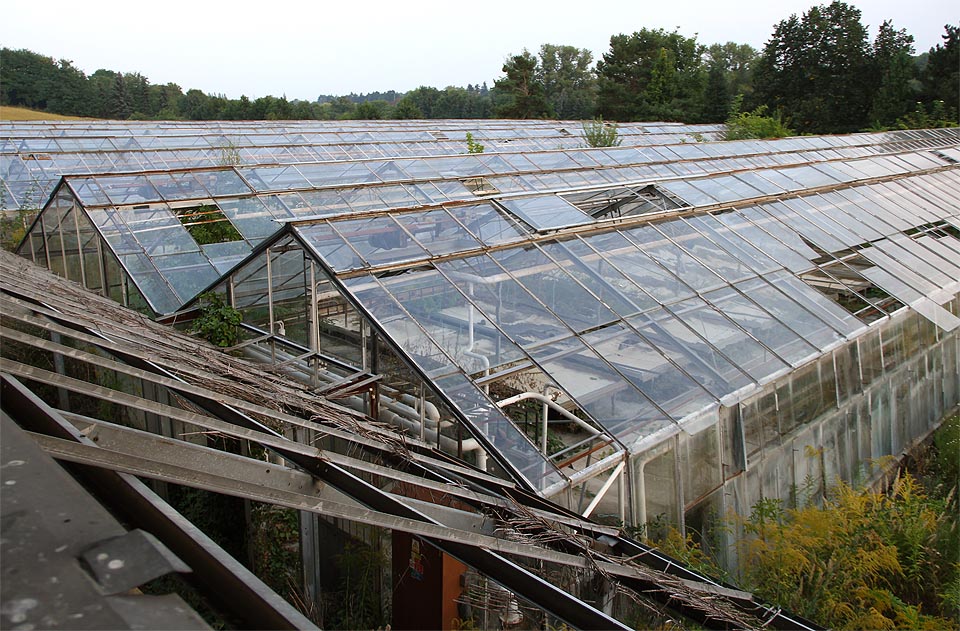 Zavlažování i vytápění neizolovaných skleníků je dnes záležitost výrazně nákladnější než v 80. letech 20. století.
