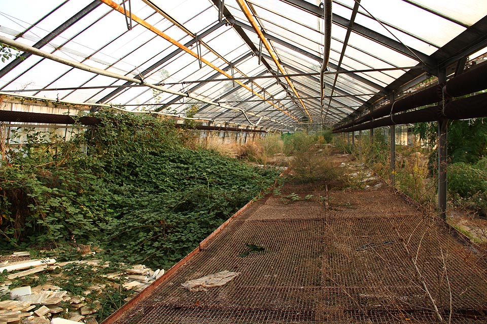 V suchém a horkém podnebí se usídlily specifické typy rostlin. V noci by tu člověk možná dostal i strach.