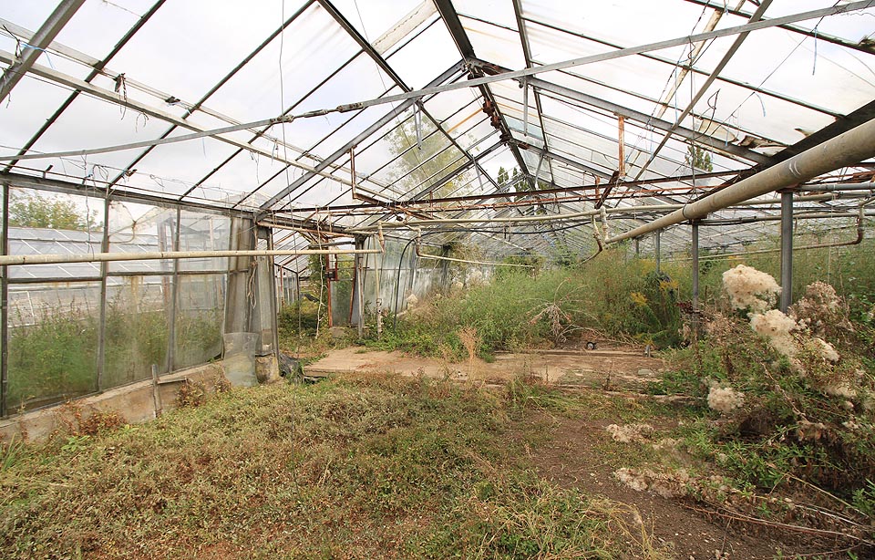 Pět velkých skleníků je propojeno čtveřicí šikmých spojovacích krčků. Jak jinak než ze skla.