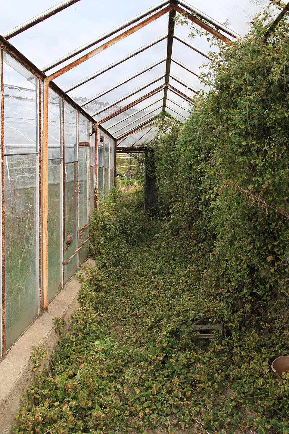 V krčku to vypadá jako v pohádce Hrnečku vař. Pouze se zelenou kašičkou…