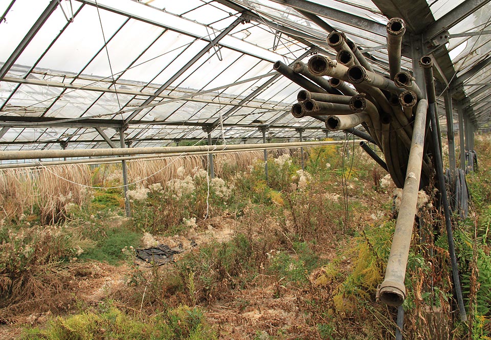 Něméí konce hadic jako svazek varhanních píšťal v opuštěném chrámu nebo krky zahubené saně.