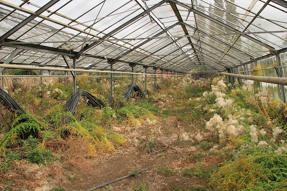 …jak vlny osením po tobě hrají mé vzpomínky a touhy rodný kraji…