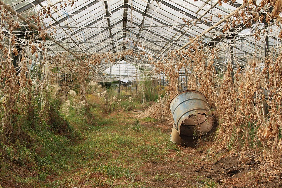 V jednom ze skleněných chrámů nalézáme cosi jako snové dělo namířené k obloze.