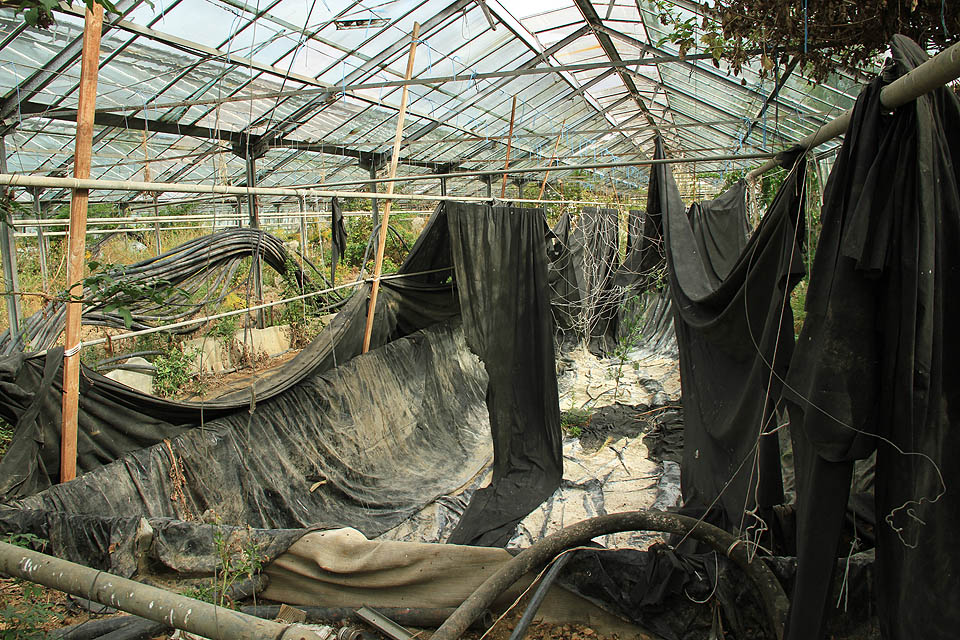 Ve čtvrtém skleníku se nachází podezřelý bazén vyložený černou tkaninou. Ať už v něm bylo napuštěno cokoliv, už to tu dávno není.