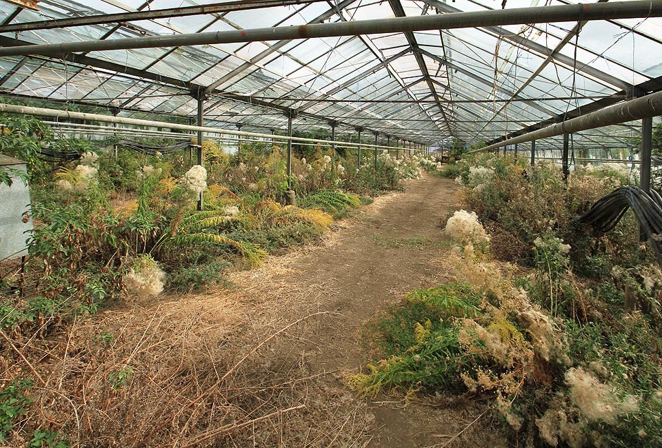 …až vzlétne nad pasekou hejno vran, je léta pel už dávno vyprodán…