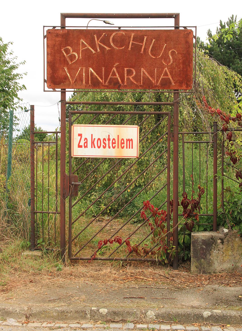 Místo hroznů, mohla by dnes zaniklá vinárna stáčet víno spíše z jedovatých bobulí černého lilku.