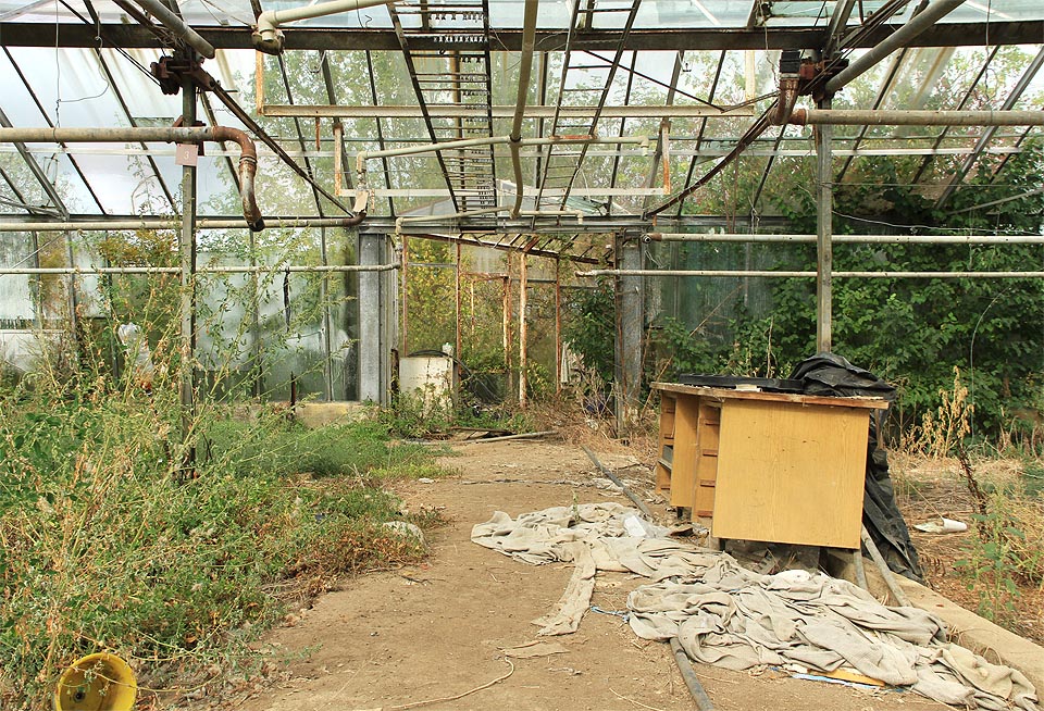 Tak prosluněnou pracovnu nenajdete ani v těch nejskvělejších funkcionalistických ateliérech světa.