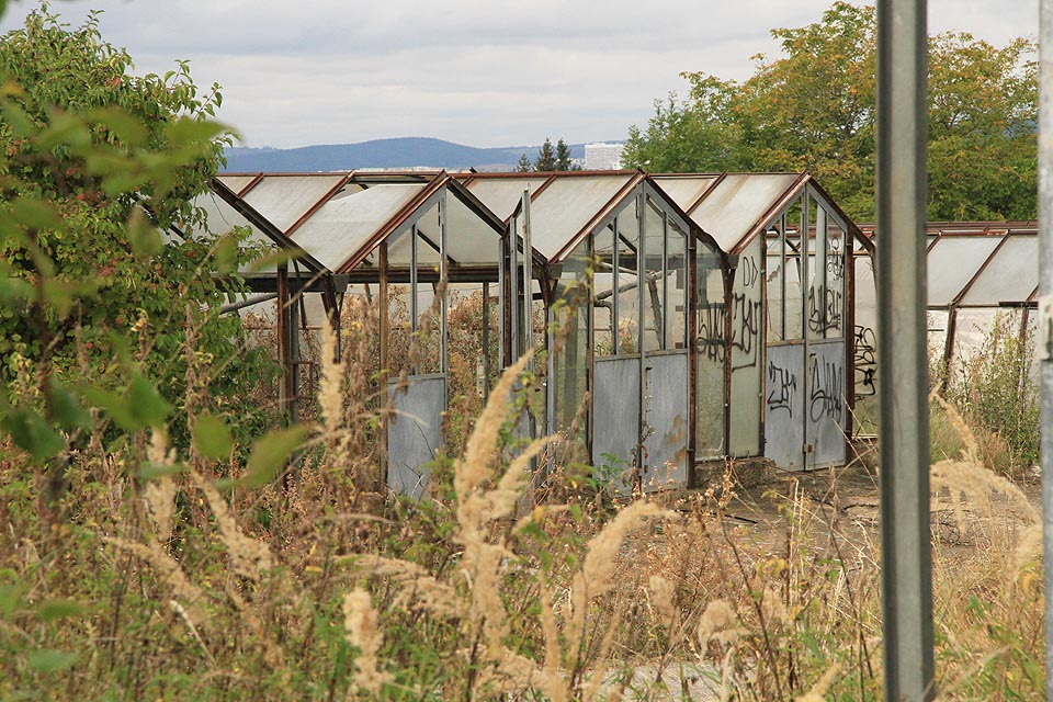 Z desíti skleníků na protější straně cesty zbylo už jen osm.