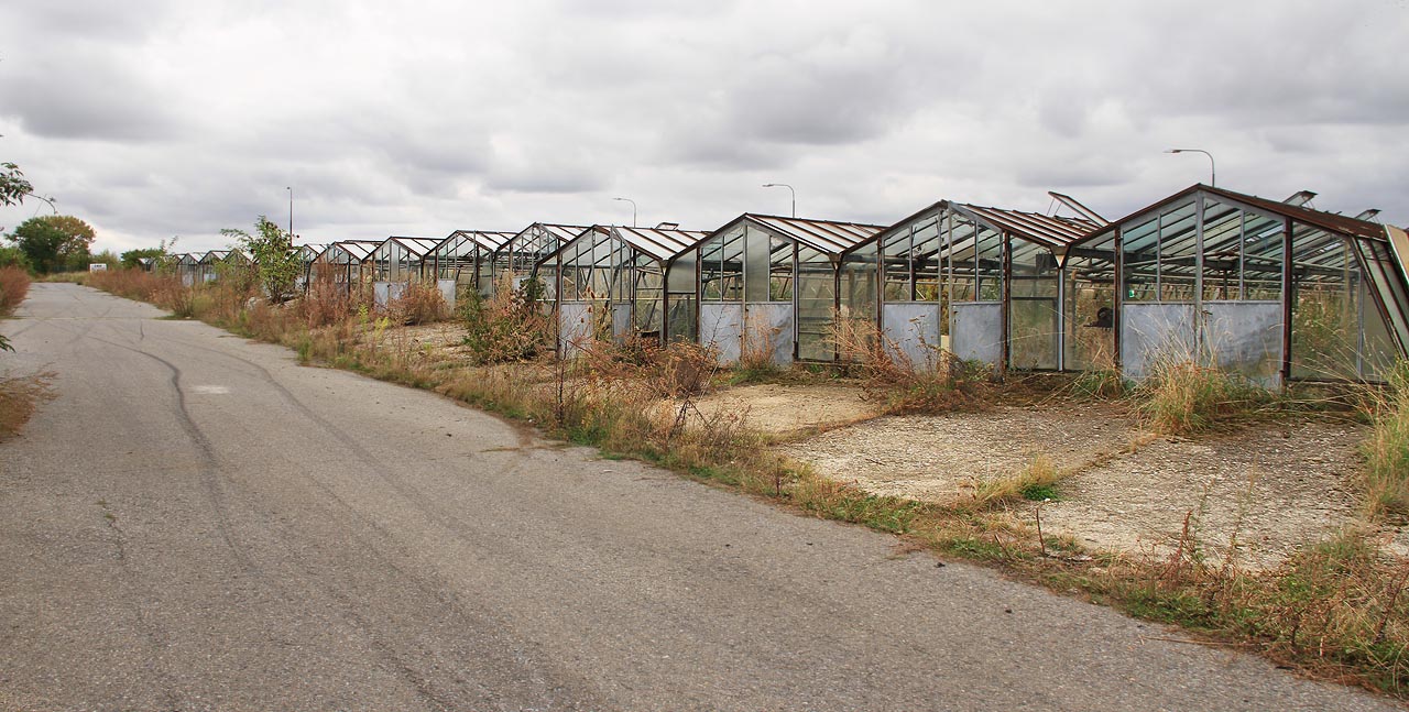 Spořádaně stojí v řadě a čekají, až je někdo rozebere.