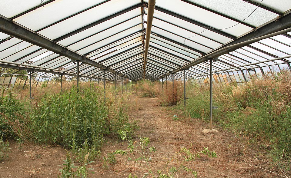 Malé skleníky jsou dokonale prázdné.