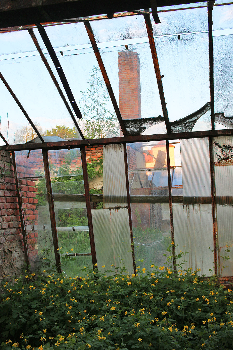 Pohled na ruiny zděné budovy, ve které bylo zázemí skleníků včetně malé výropny, jež mohla sloužit k udržení vhodné teploty uvnitř i v chladnějším období.