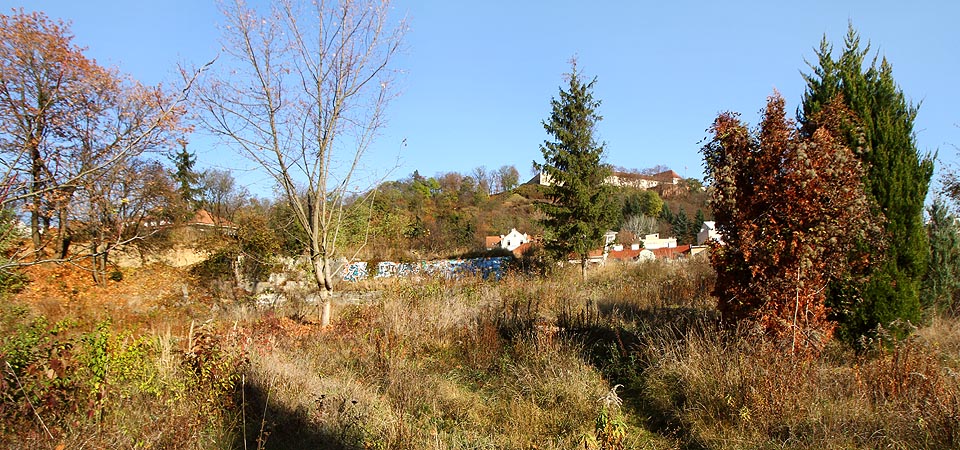 Nad bývalou Falkensteinerovou cihelnou mezi ulicí Úvoz a Pivovarskou uličkou v Brně vznikla na troskách zahrádkářské kolonie nad hliníkem podivná „Země Nikoho“.
