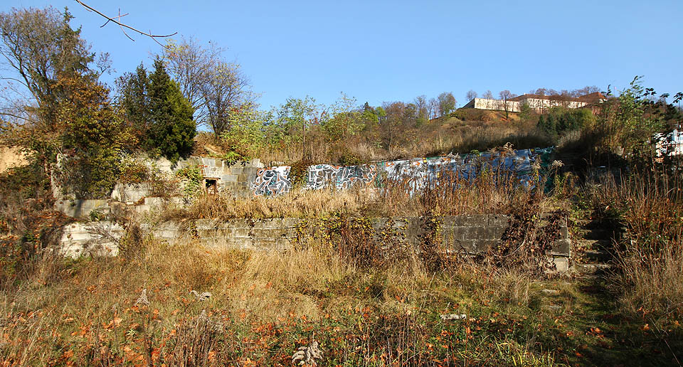 Z křoví tu vyčnívají trosky domů, opěrných zdí, chat i sklepů.