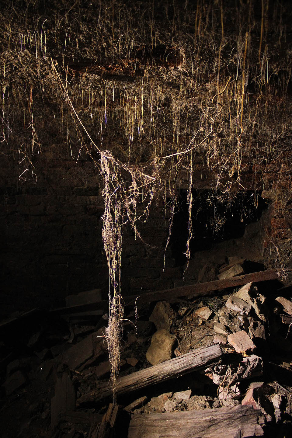 Místy je strop doslova chlupatý a ještě posiluje tajuplnou atmosféru opuštěného městského podzemí.