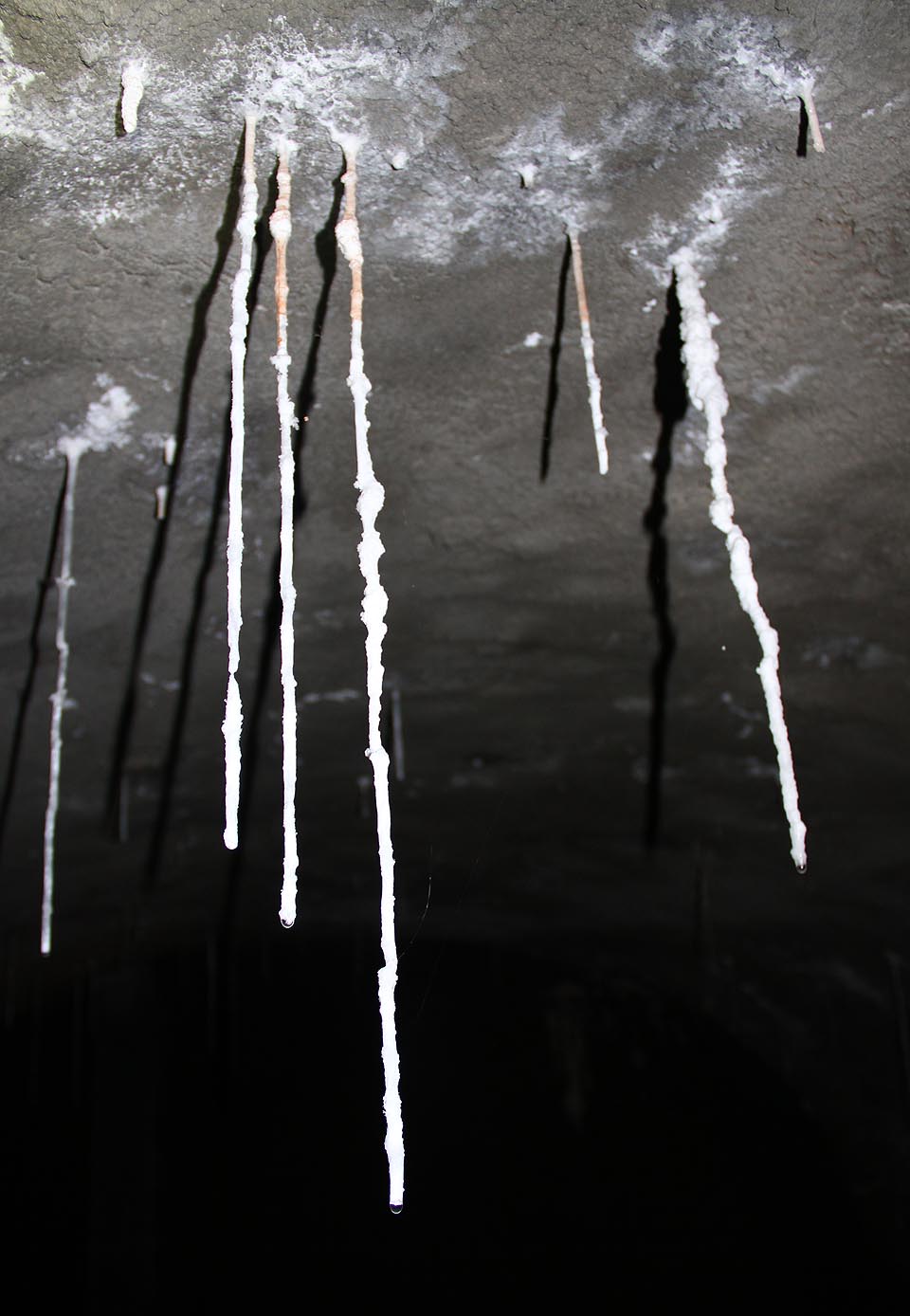 Beton vzal pod svoji ochranu původní klenutí, betonem je přehrazené někdejší pokračování sklepů, beton se rozlil po podlaze, stropech i stěnách. Ale je to také beton, který je živným prostředím pro růst krápníků ze sintru, který z něj vymývá prosakující voda z povrchu.