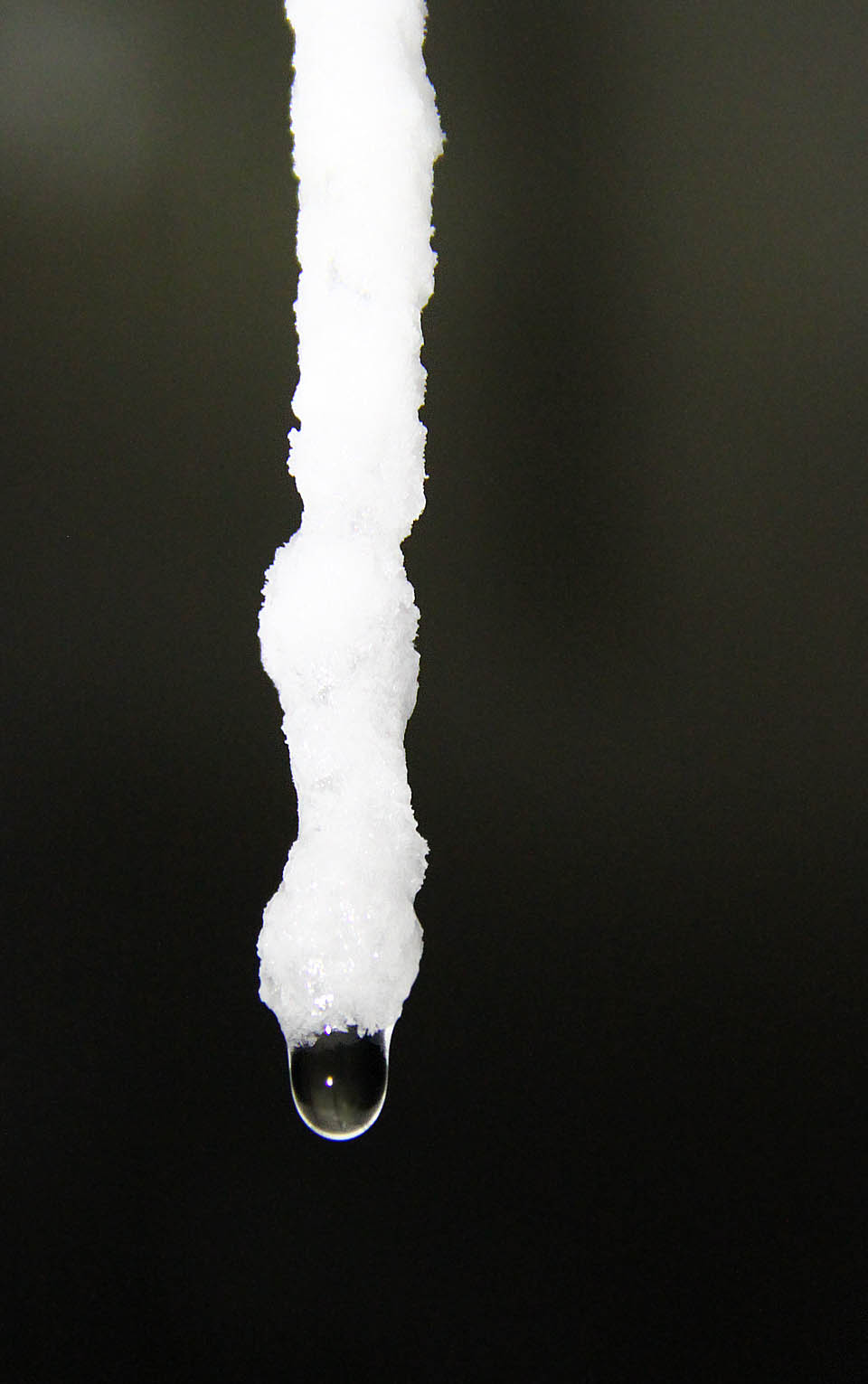 A narůstají dál. Každou vteřinou se několik stovek biliónů molekul uhličitanů rozpuštěných ve vodě naváže na konec brčka.