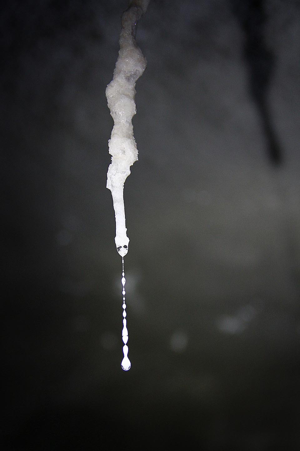 Některé krápníky formují na koncích zajímavé kamenné řetízky. Růst brček je podmíněn dokonale nehybným vzduchem a minimálními otzřesy. Tady dole, jen pár metrů pod rušnou ulicí, mohou minerály nerušeně krystalizovat. Vteřinu, za vteřinou, hodinu za hodinou, den za dnem, podmínky jsou zde pořád neměnné.