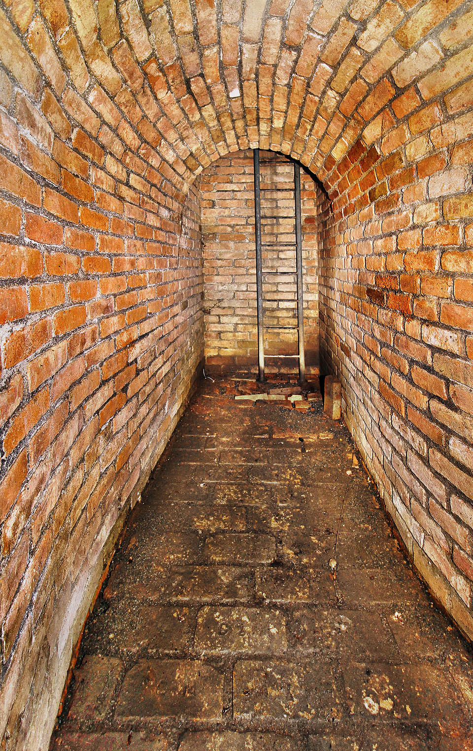 Nově vybudovaný a v současnosti jediný vstup do sklepení pod domem U tří kohoutů vede svislou šachtou po žebříku z Masarykovy ulice.