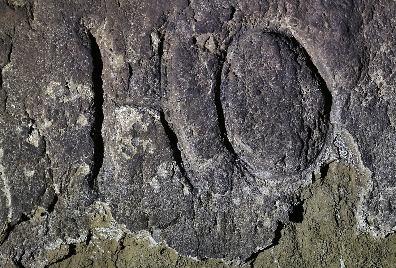 Dvojice písemn HO a SC na zakouřené stěně snad odkazují ke jménům majitelů nebo provozovatelů vinného sklepa. Jejich skutečné stáří neznáme, ale tvarově by dobře zapadla i do 18. století.