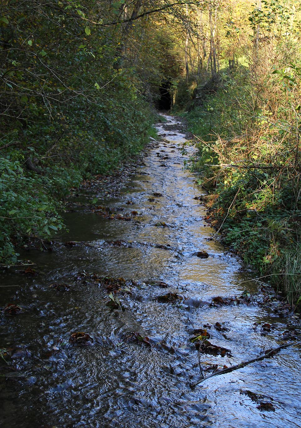 Jihozápadní portál Slavošovského tunelu tone v úzkém zářezu, kterým protéká Mníšanský potok.