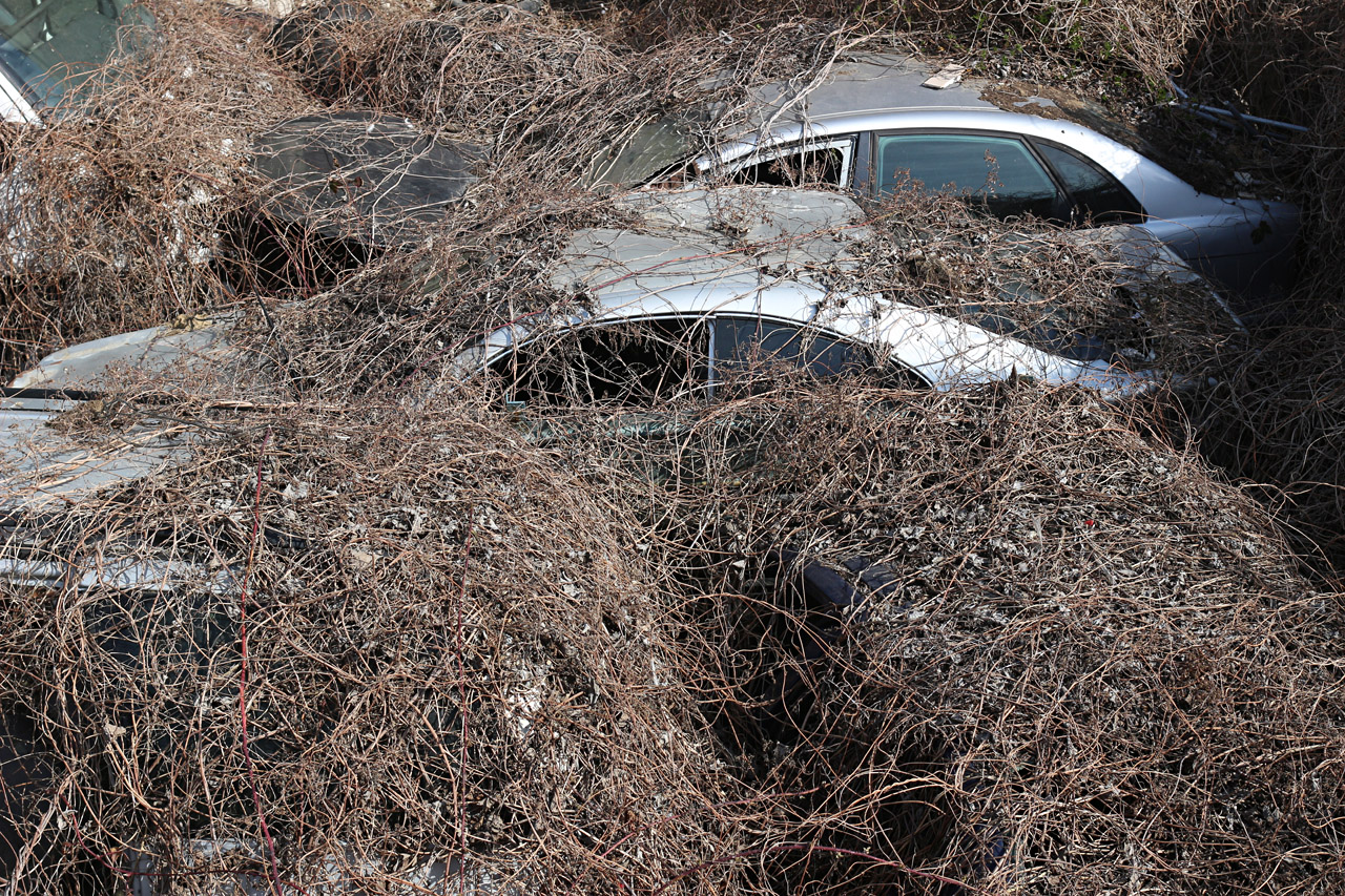 Kdysi moderní vozy, jež byly na Slovensku symbolem vytouženého západního životního stylu, dnes tlejí v psím víně. Symbol konce jedné epochy, po níž následuje epocha nová, zatím čekající na své rozuzlení a zhodnocení.