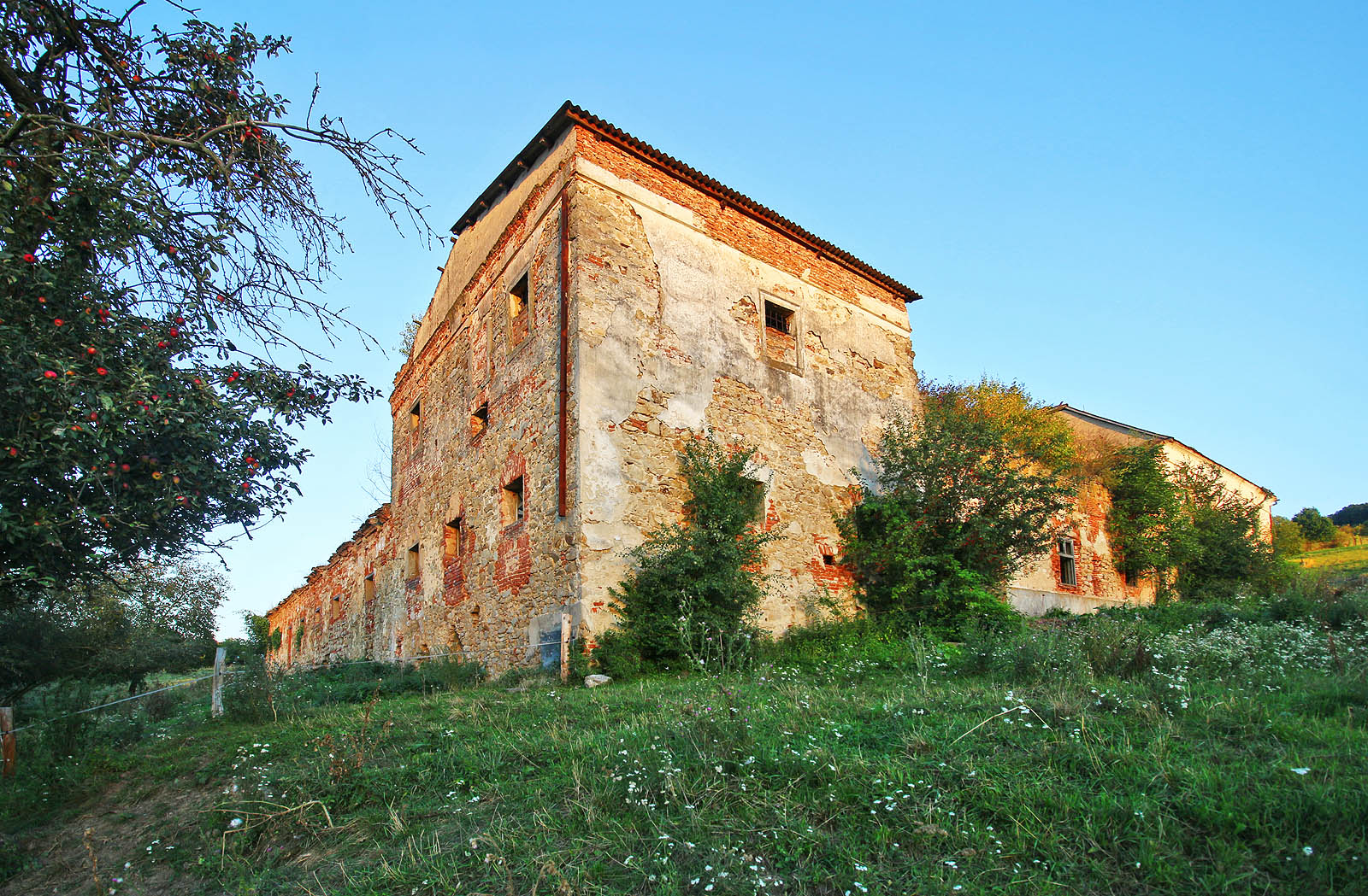 Dominantní částí statku je „věž“ v severozápadním rohu dvorce, která mohla historicky sloužit jako sýpka nebo třeba varna pivovaru. Po změnách využití a přestavbách je odhadování původního účelu různých částí stavby komplikované.