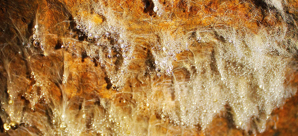 Štola nad Hálovým mlýnem