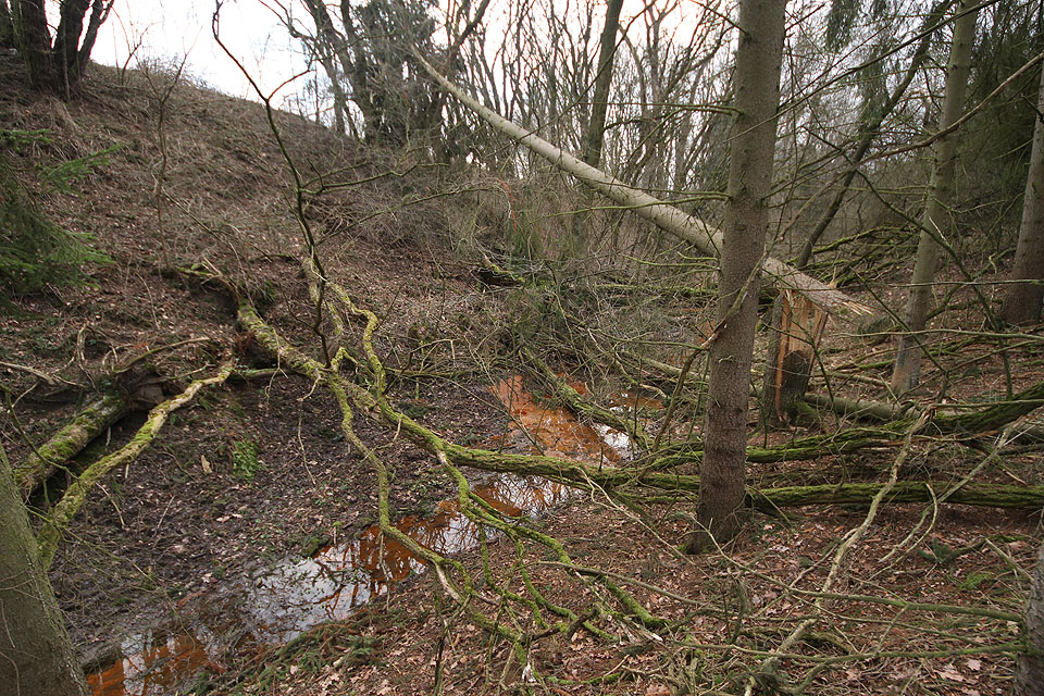 Ten, kdo si chce zkrátit cestu od železniční zastávky v Doubravici na Chlumy údolím Klemovského potoka, brzo narazí nejen na neprostupný terén, ale taky na podezřele oranžovou vodu v potoce.