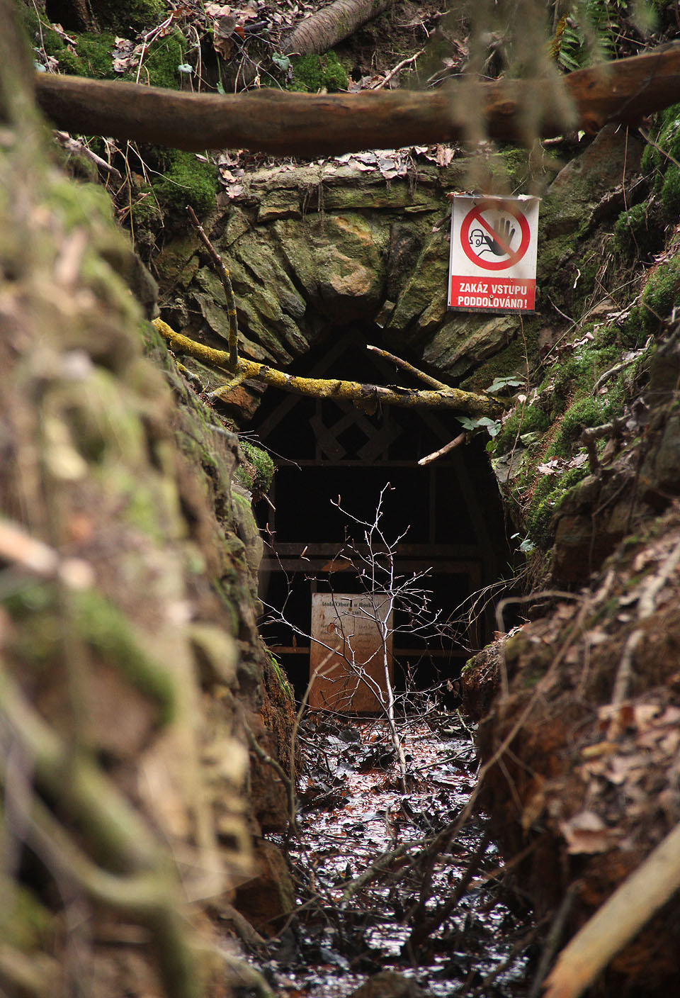 Nevydatná stružka vyvěrá ze štoly vydechující zatuchlý důlní vzduch. Portál z místního pískovce (stejného, který použil sochař Stanislav Rolínek na své sochy blanických rytířů) odkazuje lomeným obloukem až ke gotice, zřejmě ale bude výrazně mladší.