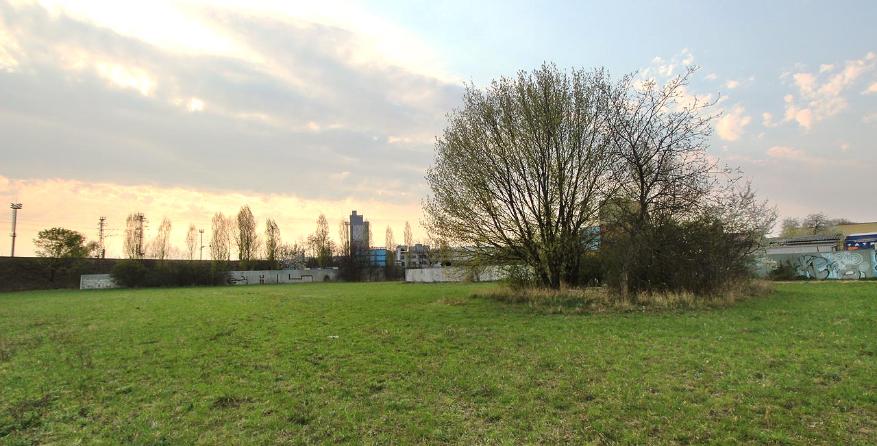 Skupinka stromů na louce vypadá jako oáza okolo studny v poušti. Křoví skutečně ukrývá neobvyklý vodní zdroj.