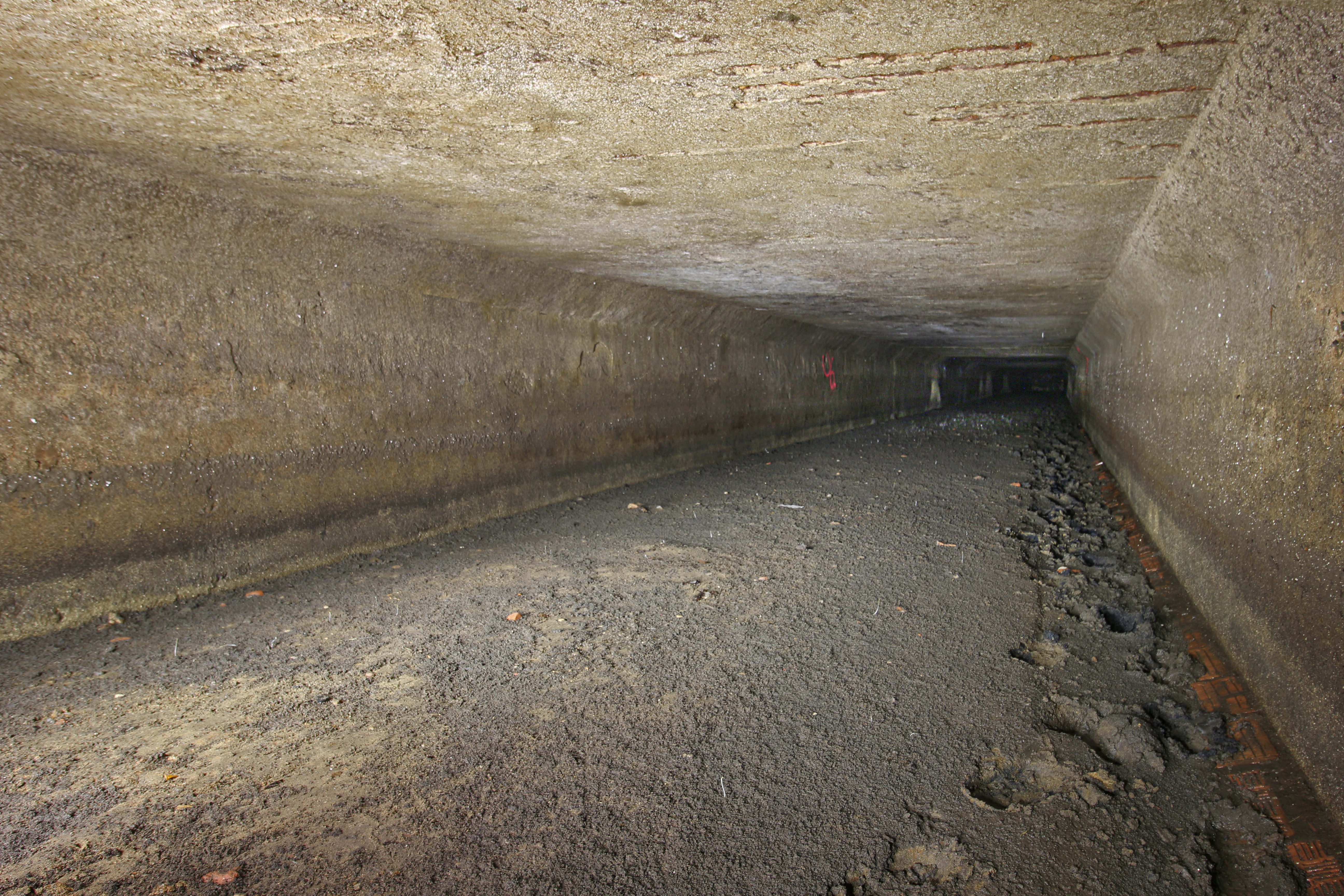 Největším objevem byla chodba obdélníkového průřezu o délce skoro 100 m, kterou protékala voda před budovou lázní. Židenice prostě stojí na vodě, jen to na rozdíl od Benátek neumíme prodat. Největším objevem byla chodba obdélníkového průřezu o délce skoro 100 m, kterou protékala voda před budovou lázní. Židenice prostě stojí na vodě, jen to na rozdíl od Benátek neumíme prodat.