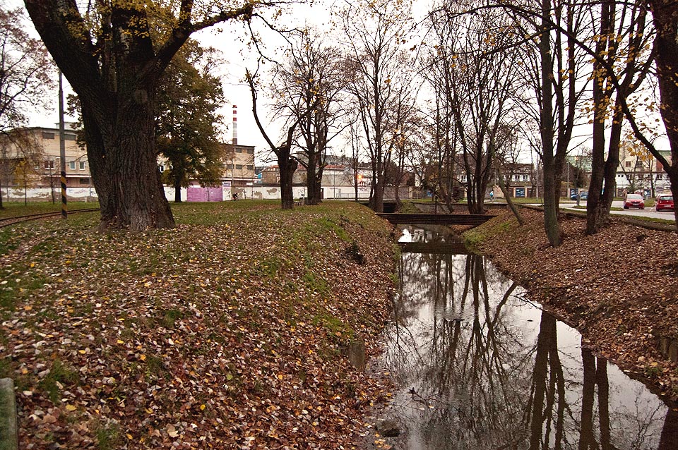 Voda v náhonu přitékající z řeky je relativně čistá. Zanedbaná údržba v dobách, kdy náhon ztratil svůj původní technologický význam, přetoky z kanalizace a neurvalé chování obyvatel v okolí však mají za následek, že je většina koryta mrtvou vodou plnou odpadků. Přesto se večerní hladina v parku na Tkalcovské leskne jako zrcadlo.