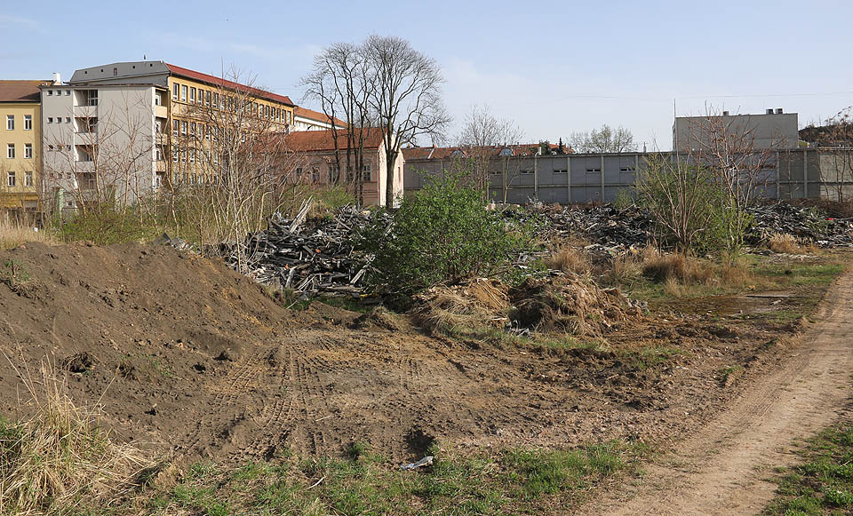 Někde tady vyrostl na ostorvě mezi rameny Svratky okolo roku 1000 přemyslovský hrad, který stál na počátku vzniku moderního Brna. Město se ke své kolébce zachovalo poněkud macešsky.