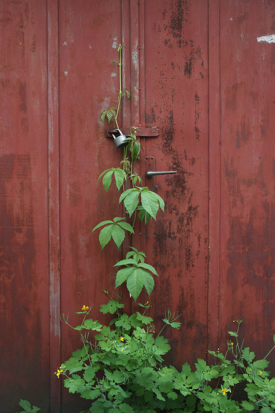 Dokonce i před nedávnem používané garáže na straně blíže Cejlu působí dnes mírně pustě.