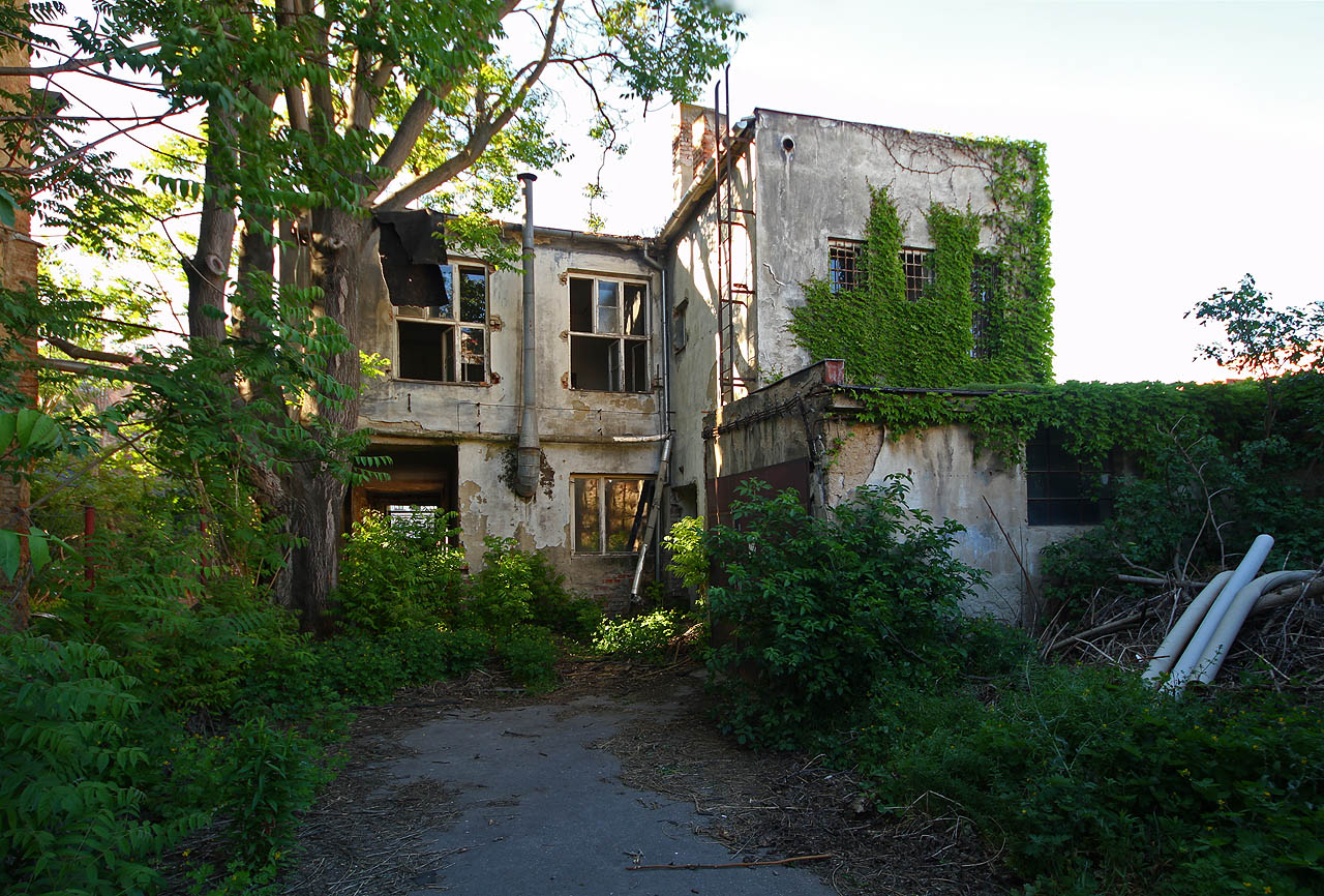 Za některé příbytky by se tu nemusela stydět ani proslulá Růženka Šípková.