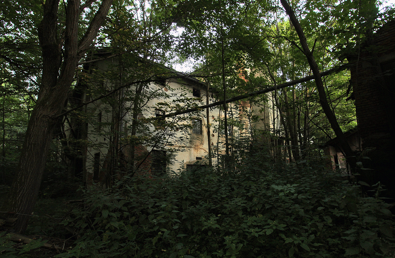 Příchod k hlavním výrobním budovám v areálu je temný i ve slunečných letních dnech.