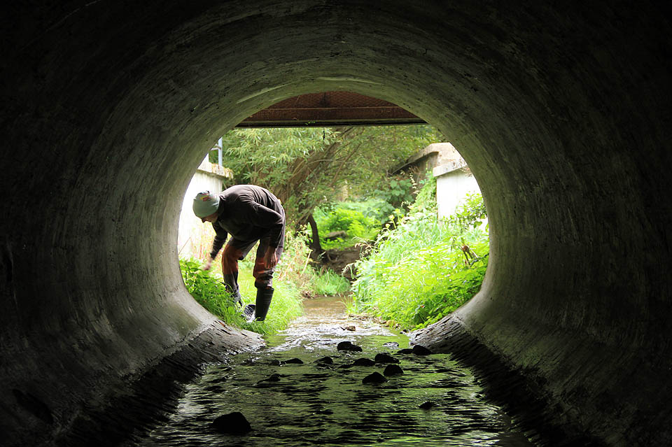Pohled z tunelu potoka Časnýře na akvadukt vedoucí na ostrov a druhý břeh řeky Svitavy.