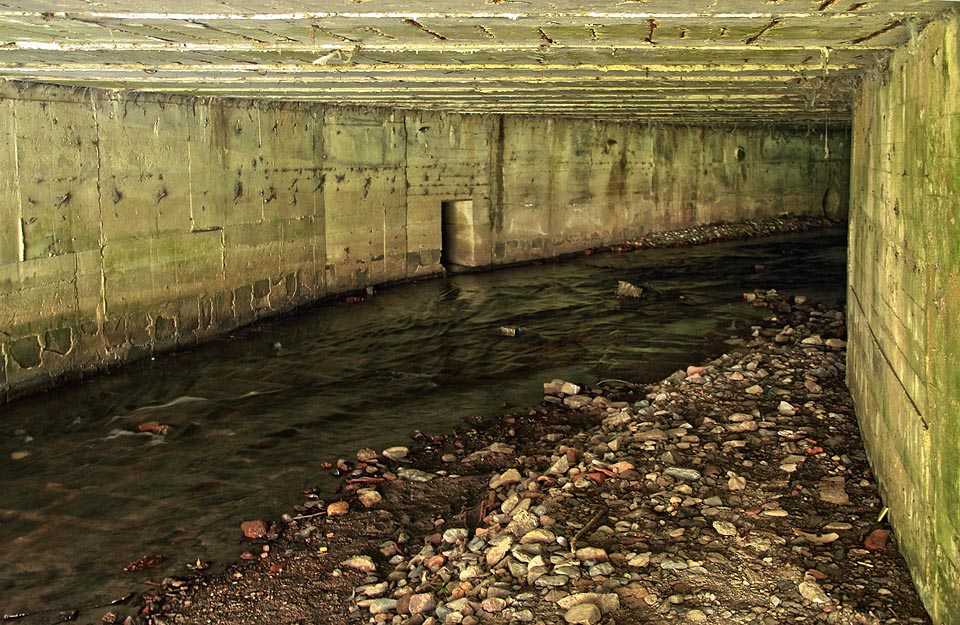Oblázky na náplavce u soutoku, kam se ještě odváží zvědaví kolemjdoucí suchou nohou.