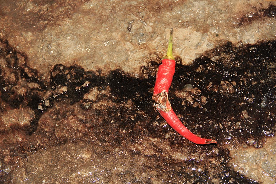 Z nelegálních kanalizačních přípojek občas vyplave i něco pozoruhodného. S troškou úsilí není problém vystopovat, kdo znečišťuje vodstvo v Brně.