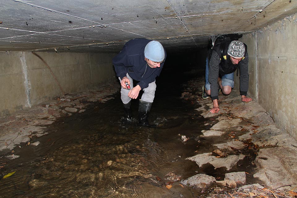 Následující úsek pod jižní částí Rožmitálovy ulice je průchozí jen s obtížemi. Následující úsek pod jižní částí Rožmitálovy ulice je průchozí jen s obtížemi.